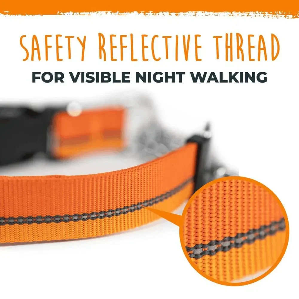NWT Mighty Paw Orange Martingale Dog Collar 2.0
